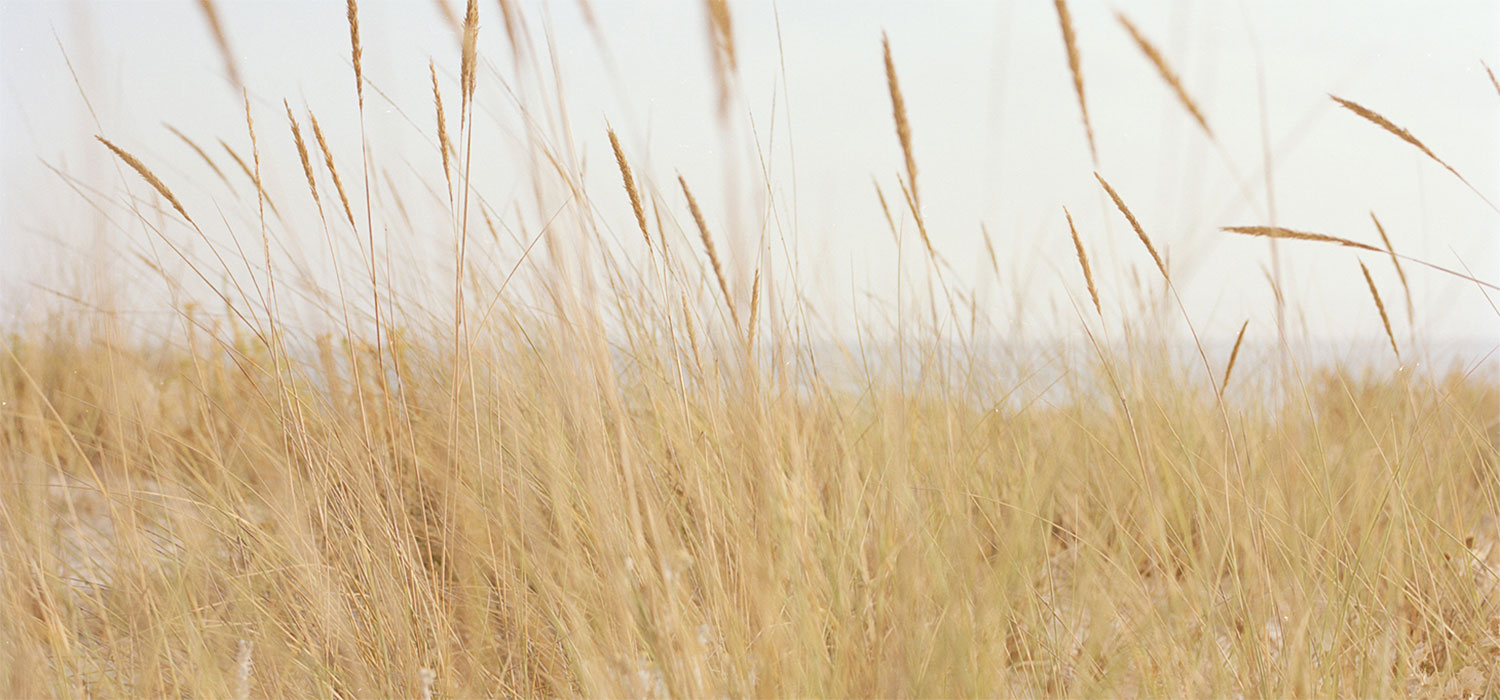 Project: Na Praia - Beach Landscape
