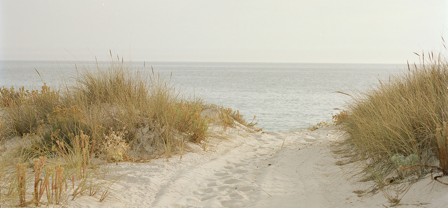 Project: Na Praia - Beach Landscape