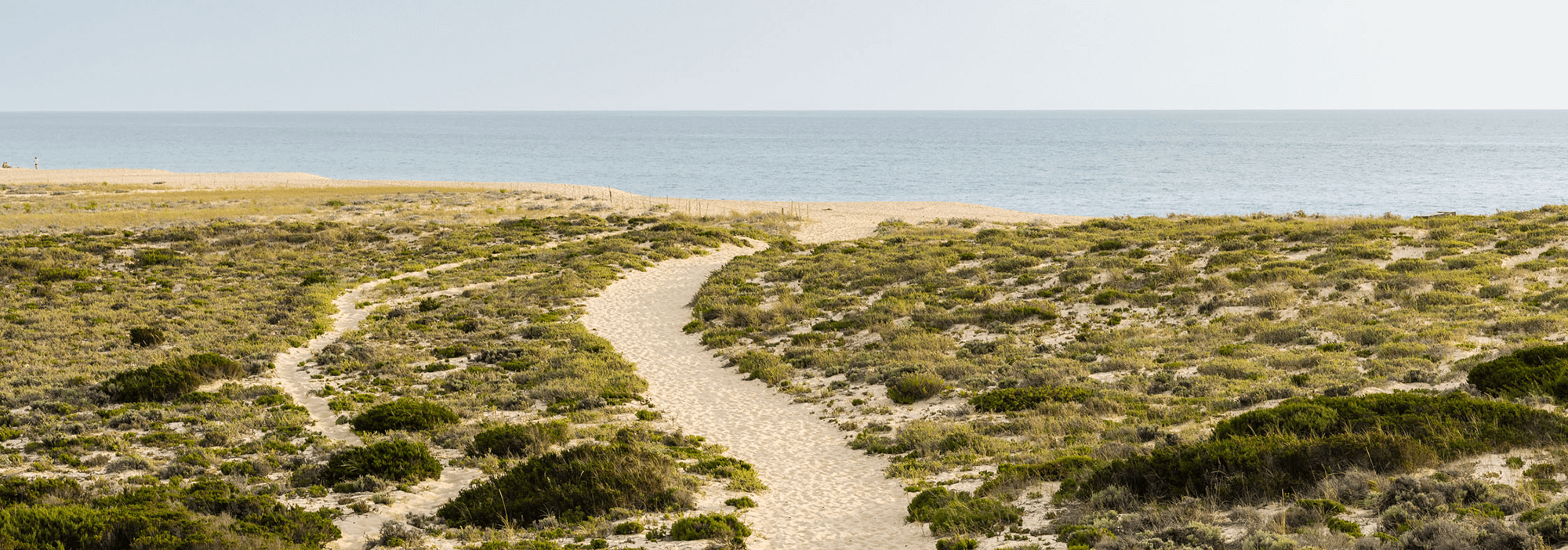 beach path